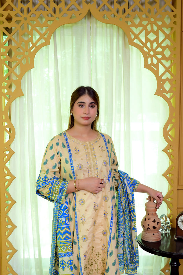 Embiodery Stitched Kurta Dupatta Trouser-0009