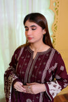 Embiodery Stitched Kurta Dupatta Trouser-0023